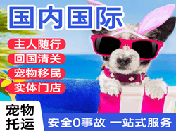 集宁机场货运国际宠物托运 【国